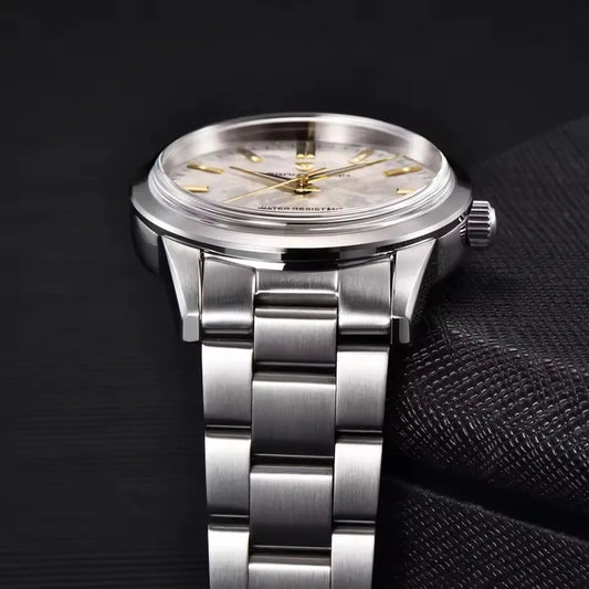 PAGANI DESIGN 40MM Meteorite Dial Men Quartz Watch Luxury Business 316L Stainless Steel 100M Waterproof Men Watch Gift With Box