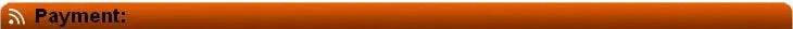 HQCAM Camhi 1920P 1080P Mini Waterproof IP66 TF card slot IR Night Vision IP Camera Wifi Outdoor Car & Vehicle Fleet & Bird Nest