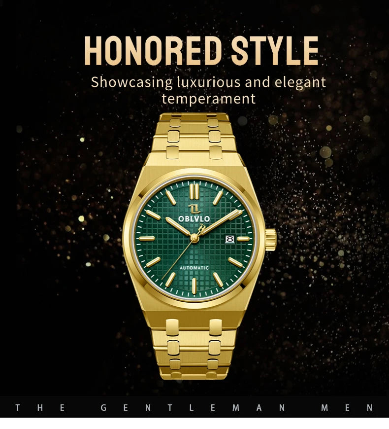 OBLVLO Luxury Mens Watch 316L Stainless Steel Mechanical Watches Luminous 50M Waterproof Automatic Casual Watch for Men TM-SIM