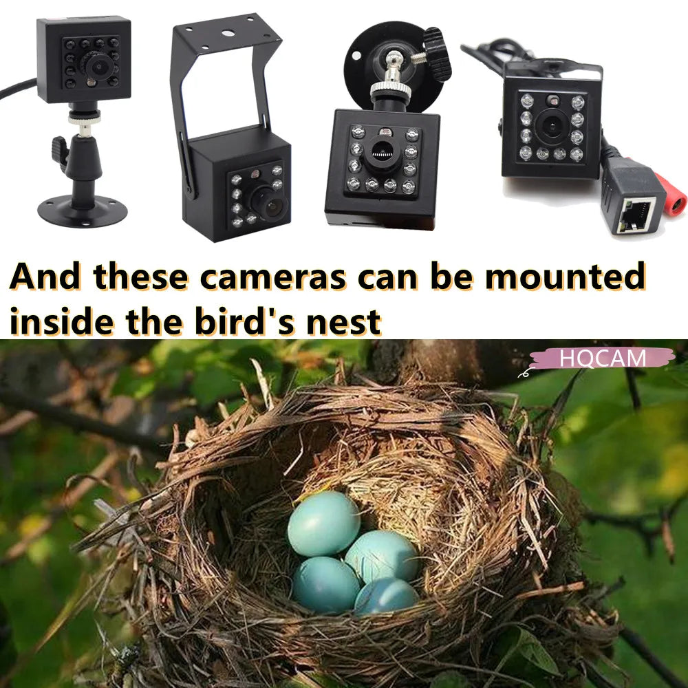 HQCAM Camhi 1920P 1080P Mini Waterproof IP66 TF card slot IR Night Vision IP Camera Wifi Outdoor Car & Vehicle Fleet & Bird Nest
