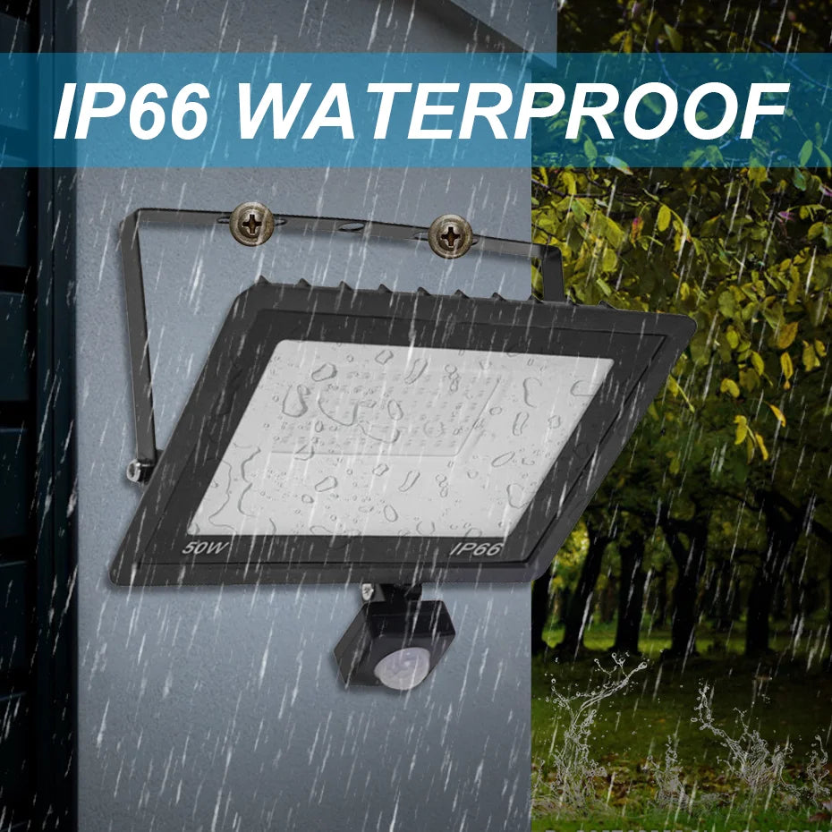 Motion Sensor Remote Control LED Flood Light 220V 10W 20W 30W 50W 100W Waterproof Outdoor Wall Projector Led Garden Spotlight