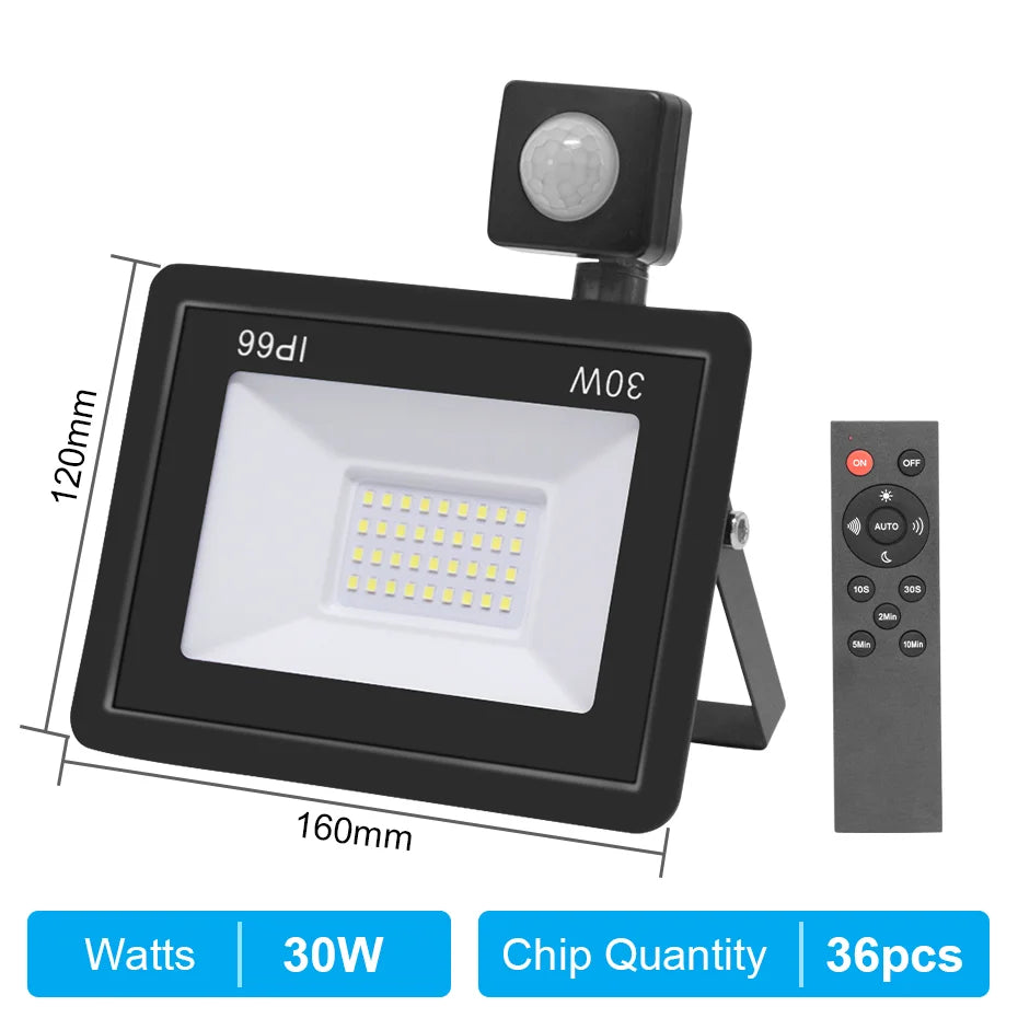 Motion Sensor Remote Control LED Flood Light 220V 10W 20W 30W 50W 100W Waterproof Outdoor Wall Projector Led Garden Spotlight