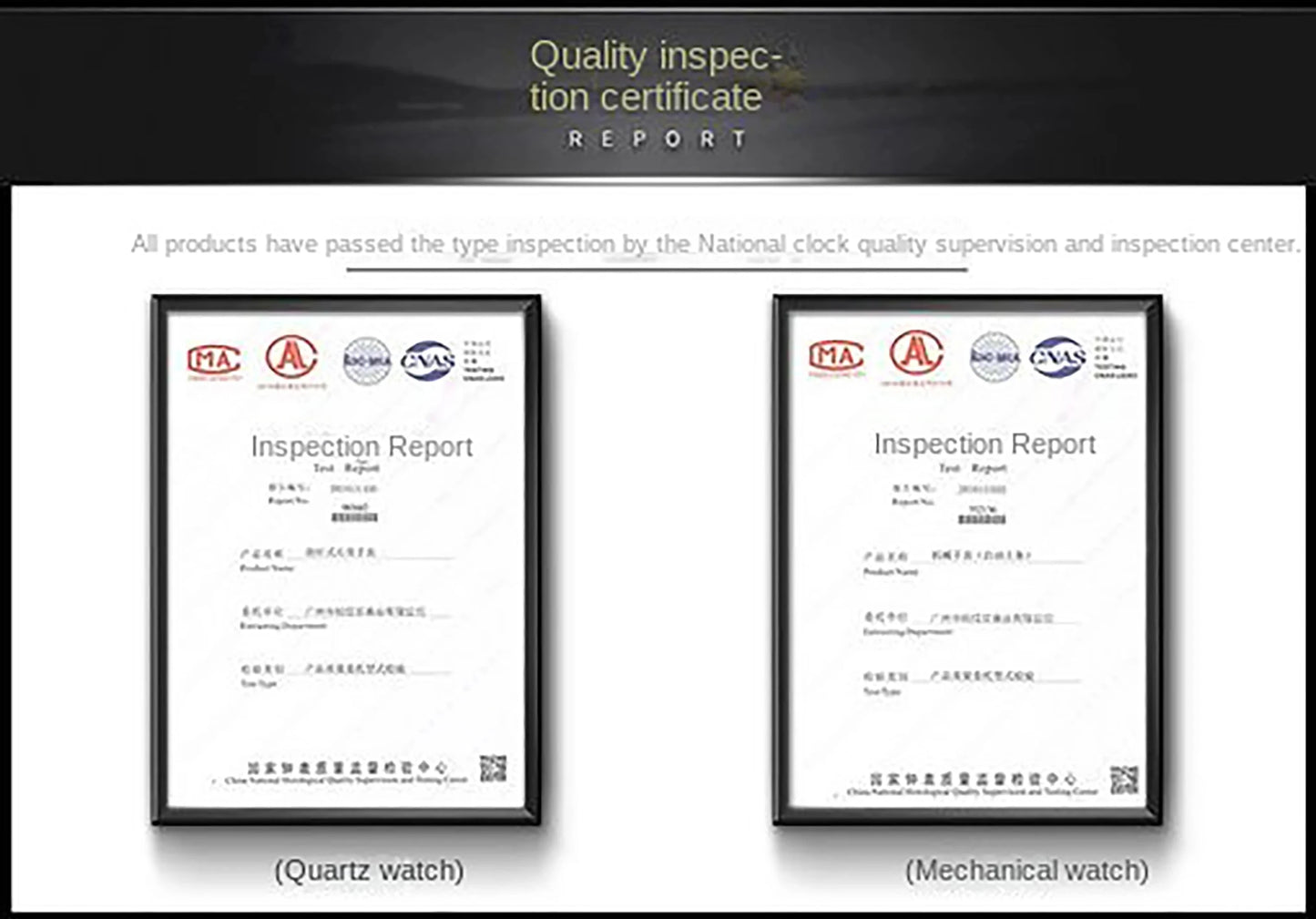 PAGANI DESIGN 2025 New Men's Automatic Mechanical Watch 42mm Fashion Casual Skeleton Sapphire Stainless Steel Watch for Men