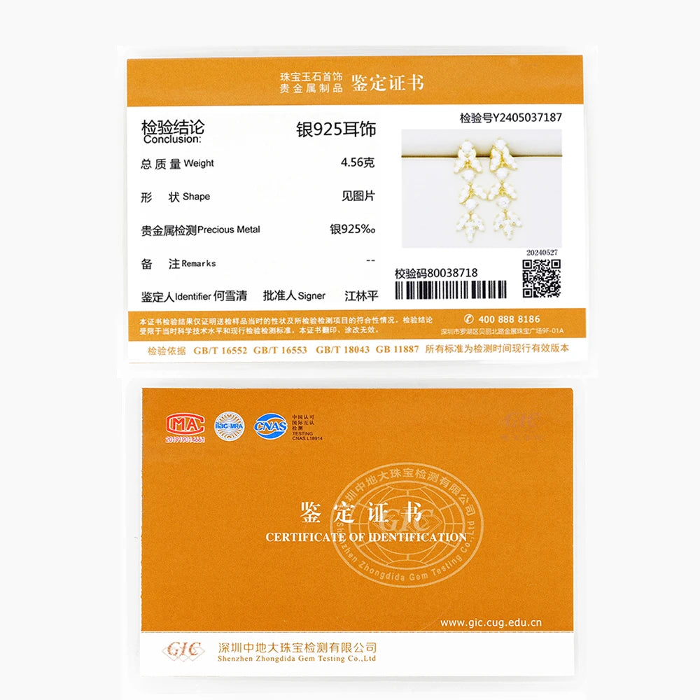 AINUOSHI 925 Sterling Silver Moissanite Earrings Leaf-Shape Drop Dangle Earrings for Women Anti-allergy Silver 925 Jewelry Gift