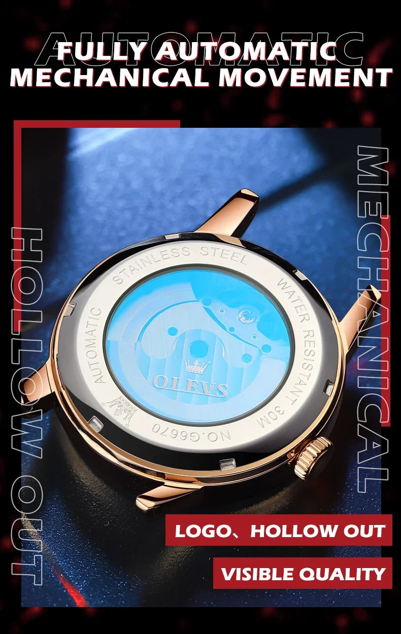 OLEVS 6670 Mechanical Fashion Watch Genuine Leather Watchband Round-dial Moon Phase Month Display