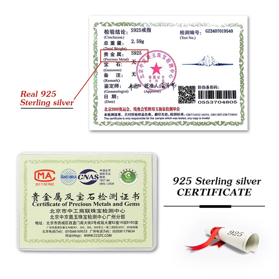 DiamondWorld 3CT Big Moissanite Diamond Rings for Women Double Heart Zircon 925 Sterling Silver Eternity Engagement Fine Jewelry