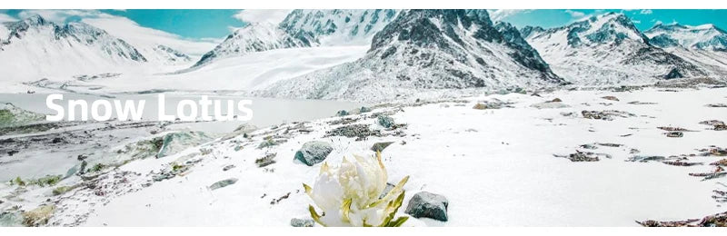 So-Bling 925 Sterling Silver Rings 5ct Moissanite Ring with Gra Certificate for Women's Elegant Fine Gift Party Jewelry