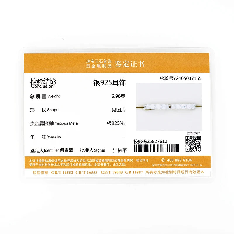 Anziw New 4mm Moissanite Hoops Luxury Eternity Diamond Earrings Solid Silver 925 18K White Gold Plated Jewelry for Women Gifts