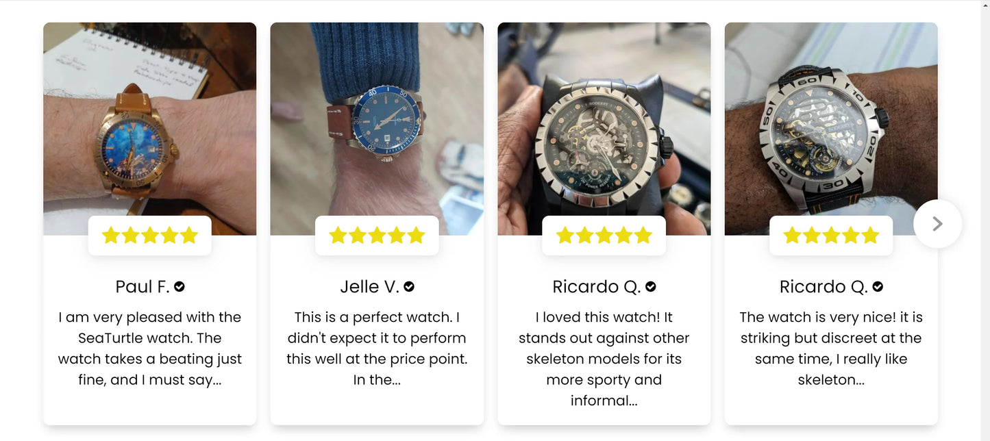 Boderry Seaturtle Titanium Diver Watch Men Luxury Bronze Watches Automatic Mechanical Wristwatch Sport 200M Waterproof Luminous