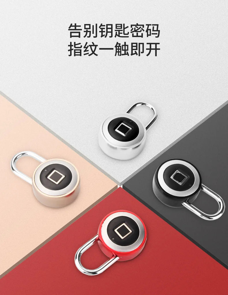 Smart Fingerprint Padlock Thumbprint Door Lock Security Anti-Theft Lock Suitable For Wardrobe Cabinet Travel Box