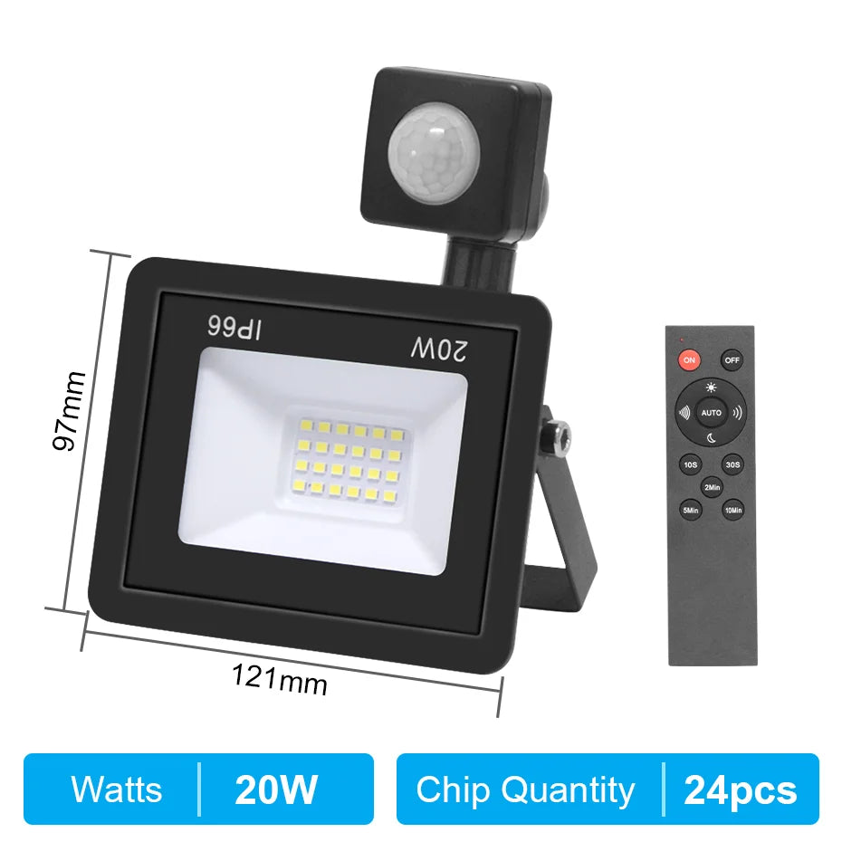 Motion Sensor Remote Control LED Flood Light 220V 10W 20W 30W 50W 100W Waterproof Outdoor Wall Projector Led Garden Spotlight