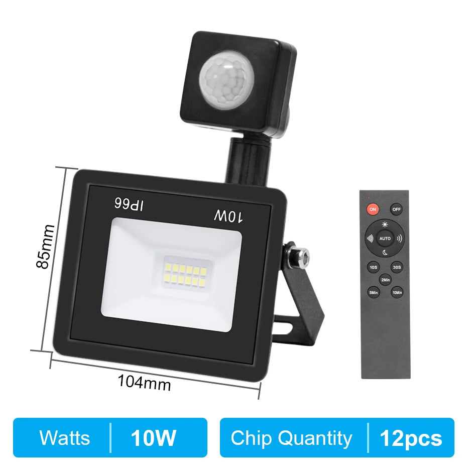Motion Sensor Remote Control LED Flood Light 220V 10W 20W 30W 50W 100W Waterproof Outdoor Wall Projector Led Garden Spotlight