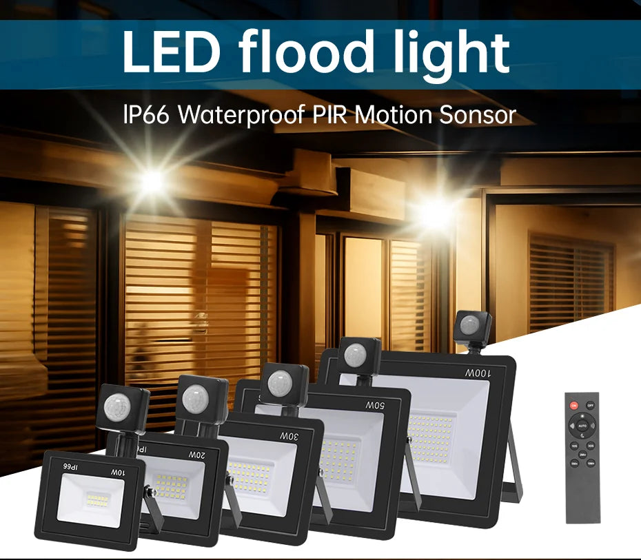 Motion Sensor Remote Control LED Flood Light 220V 10W 20W 30W 50W 100W Waterproof Outdoor Wall Projector Led Garden Spotlight