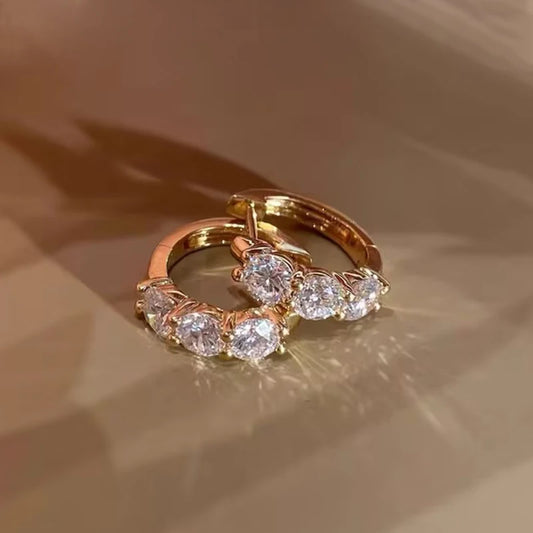 IOGOU Classic Earrings 925 Silver 4mm 3.5mm 2.5mm 3mm Moissanite Diamond Hoop Earrings for Women Wedding Engagement Party Jewel