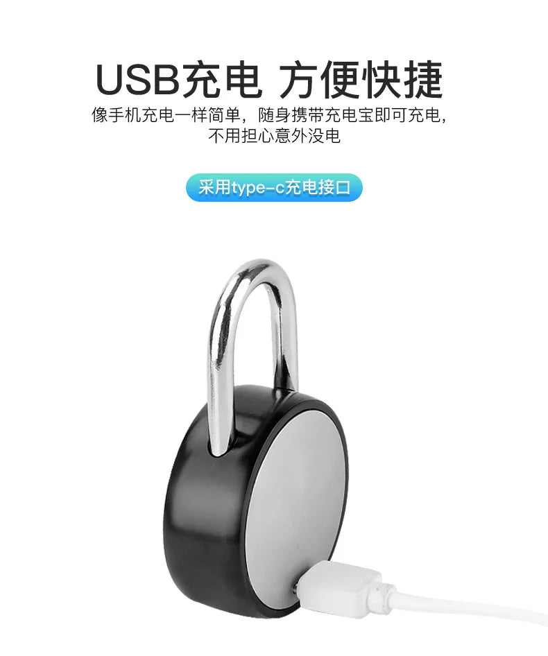 Smart Fingerprint Padlock Thumbprint Door Lock Security Anti-Theft Lock Suitable For Wardrobe Cabinet Travel Box